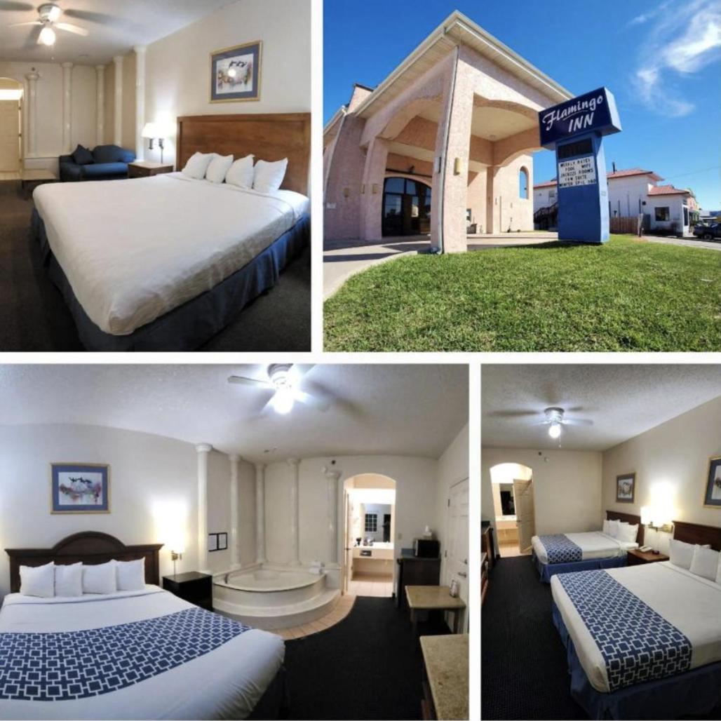 The Flamingo - South Padre Island Hotell Eksteriør bilde